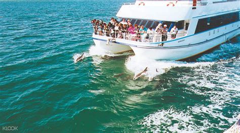 Port Stephens Dolphins and Dunes Full Day Tour from Sydney