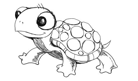 Explore collection of Sea Turtle Cartoon Drawing | Turtle drawing ...