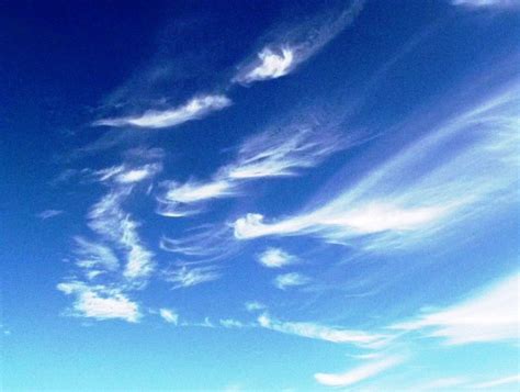 Cirrus Clouds Weather