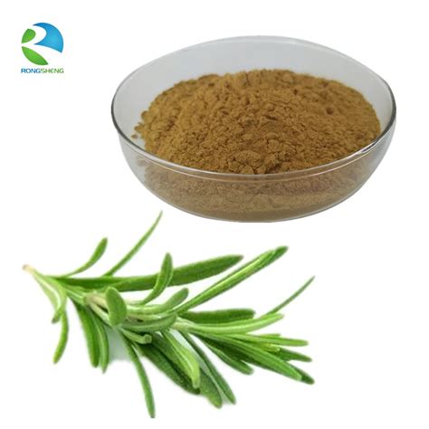 Factory Supply Food Grade Rosemary Extract Powder - Buy Rosemary Extract Powder,Natural Rosemary ...