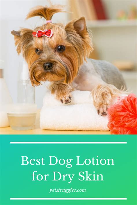 Top 12 Best Dog Lotion for Dry Skin | Dog dry skin, Best dogs, Lotion ...