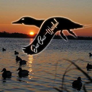 East Coast Waterfowl Coupons - 50% off - July 2024