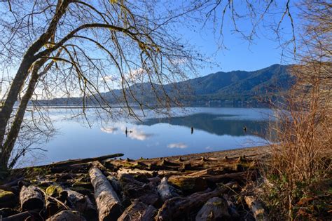 6 Stunning Hikes in the Quinault Rainforest - Travelffeine