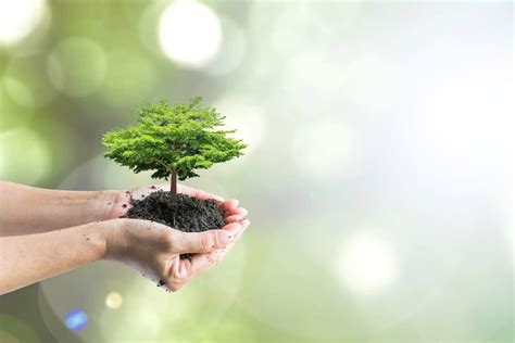 CIEH Introduction to Environmental Awareness | 1Training.org