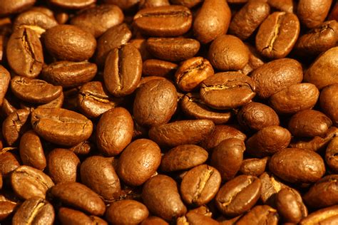 File:Medium roasted Arabica coffee beans.jpg - Wikipedia