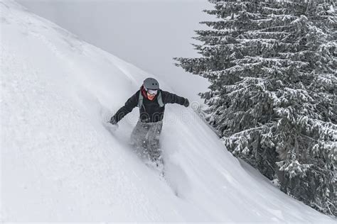 Freeride snowboarding stock photo. Image of snowboard - 4712742