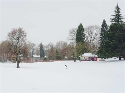 Snow in Portland: Urban skiing & sledging for groceries