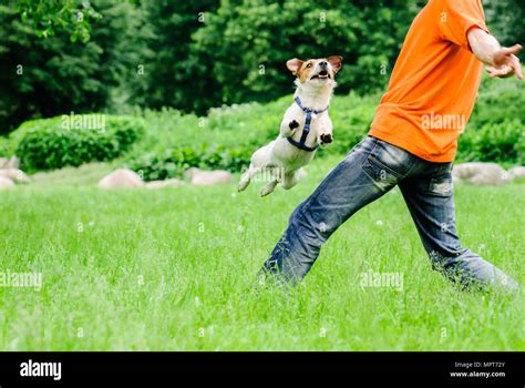 Flying disc freestyle hi-res stock photography and images - Alamy