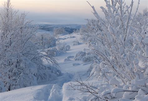 You’ve Finally Crossed the Line! Exploring Norway Beyond the Arctic ...