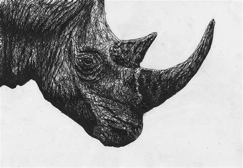 Scribble animals on Behance