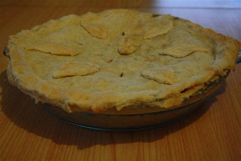 Saskatoon Berry Pie | While the crust *looks* good, it was s… | Flickr