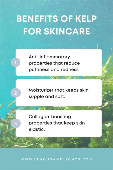 Excellent Kelp Benefits for Skin That You'll Wish You Knew Earlier - A ...