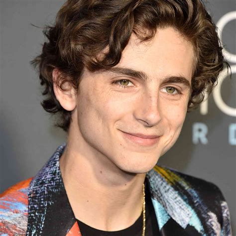 This Is How You Get Hair to Look Like Timothée Chalamet's