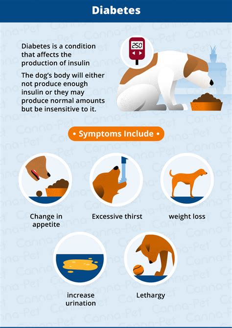 Dog Health Issues - Canna-Pet®