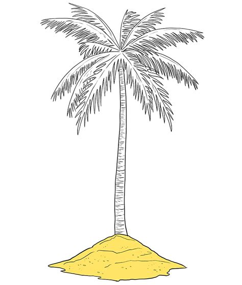 How to Draw a Palm Tree - A Step-by-Step Palm Tree Drawing Tutorial (2023)