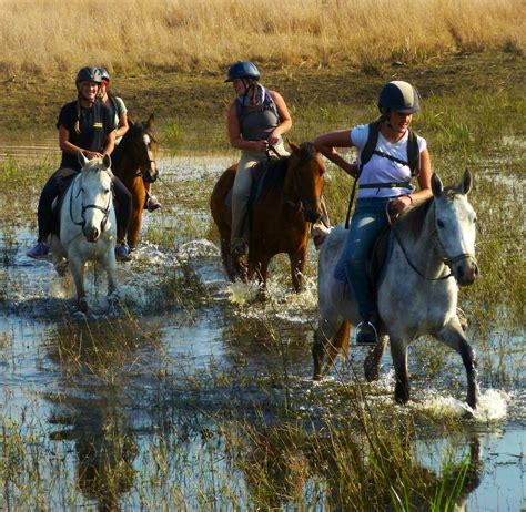 Rhino & Elephant Conservation | Volunteer in Zimbabwe 2024