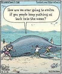 Whale humor | Funny | Pinterest | Humor