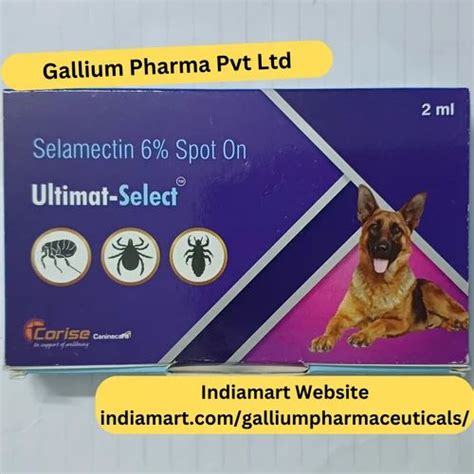 Selamectin For Animal at Rs 500/stripe | Revolution Selamectin in ...