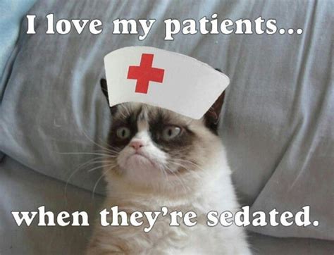 Nurse grumpy | Nurse humor, Nursing fun, Grumpy cat