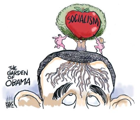 socialism By barbeefish | Politics Cartoon | TOONPOOL