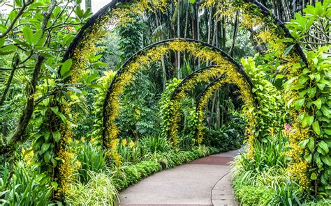 Singapore Botanic Gardens Sometimes dubbed the “city in a garden,” http ...