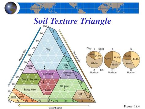 PPT - Chapter 18 The Geography of Soils PowerPoint Presentation - ID:1362059