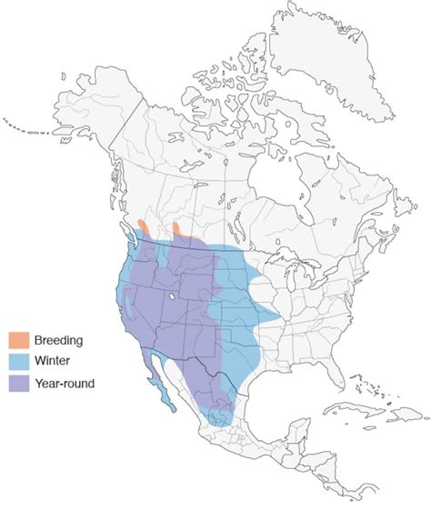 Peregrine Falcon Migration Map - Map Of New Hampshire