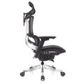 ERGOWORKS – Premium Best Ergonomic Office Chair | Truly Perfect Chair,