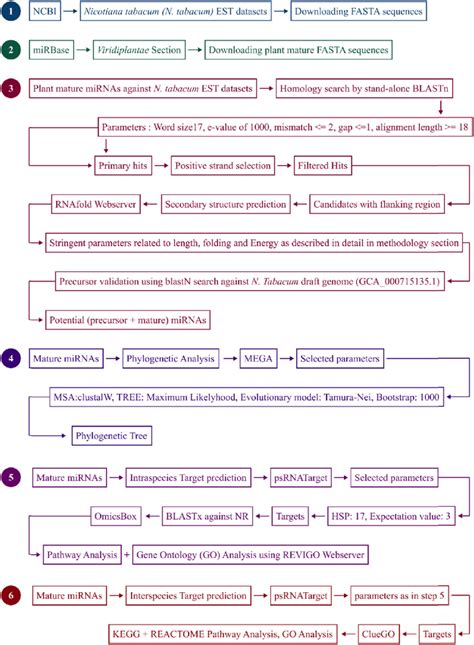 Systematized computational methodology of the study. | Download ...