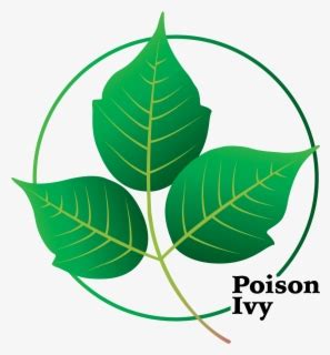 clipart poison ivy 10 free Cliparts | Download images on Clipground 2024