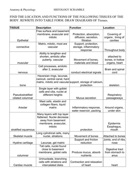 FIND THE ORGANS AND FUNCTIONS OF THE 11 ORGAN