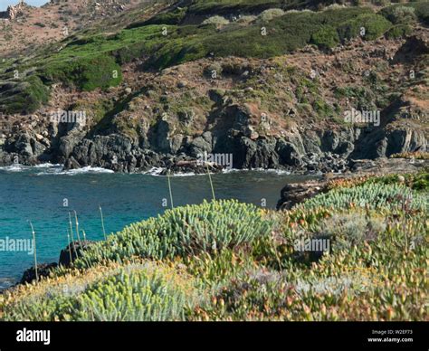 the Island of corsica Stock Photo - Alamy