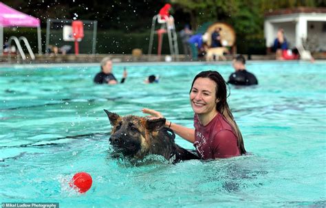 Anyone for doggy paddle? 800 pooches and their owners take to the pool ...