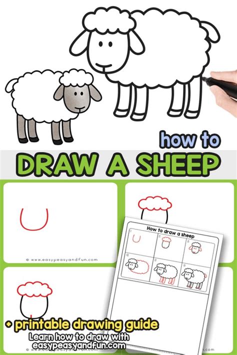 How to Draw a Sheep - Step by Step Sheep Drawing Tutorial | Sheep drawing, Drawing tutorial ...