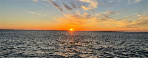 St. Petersburg Pier sunset cruise | musement