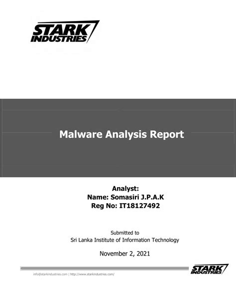 (PDF) Malware Analysis Report