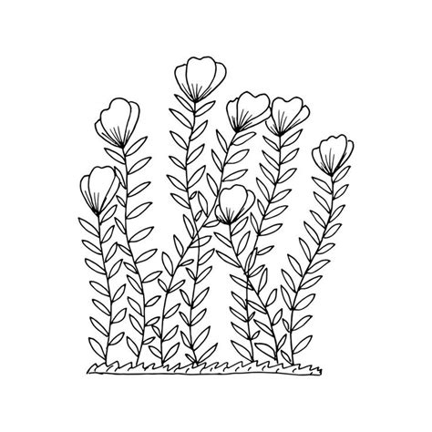 Premium Vector | Flowerbed with flowers for coloring, doodle style ...