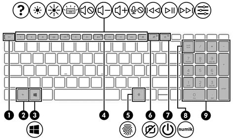 Hp Laptop Keyboard Layout - photos and vectors
