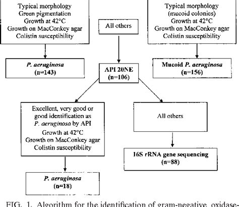 , Anja Fibrosis , from Patients with Cystic aeruginosa Pseudomonas Morphologically Nontypical ...