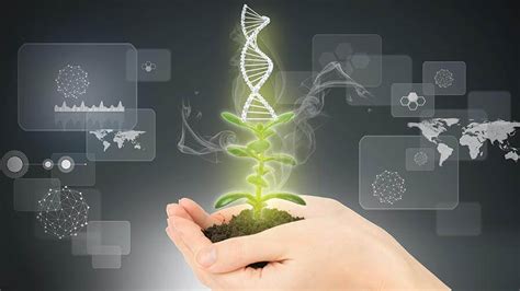 Gene-edited crops declared GMOs in EU court ruling - Genetic Literacy ...