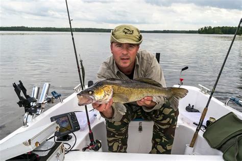 Walleye Fishing: Simple Techniques and Tips - Best Fishing in America