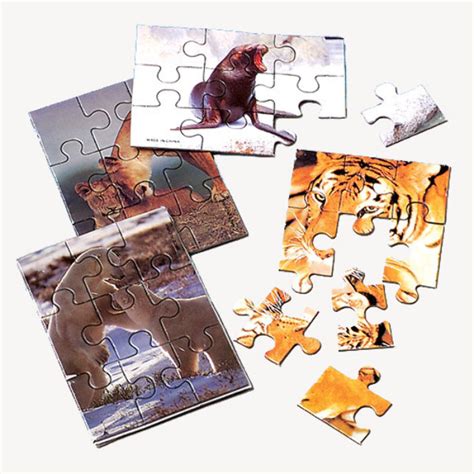 Wholesale Mini Animal Jigsaw Puzzles | DollarDays