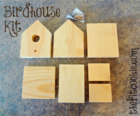 Learn to Build a Birdhouse Step-By-Step - The Fit Cookie | Bird house ...