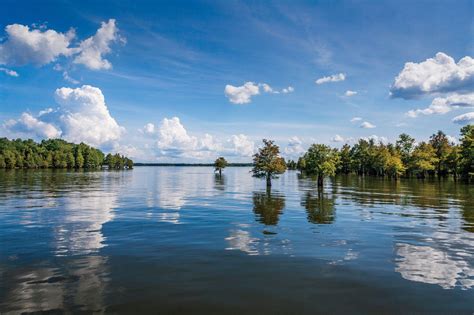 Lake Marion, South Carolina Natural Swimming Pools, Best Swimming ...