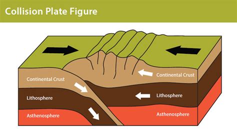 Formation of the Regions – Olivia's Blog