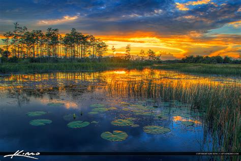 Florida Wetlands Sunset River of Grass