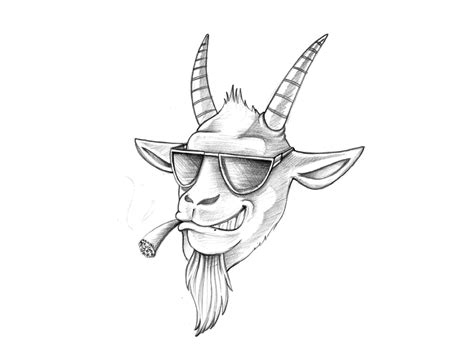 Cool Goat Sketch - 02 by Koncept Makers on Dribbble