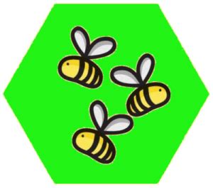 Local Honey – Birmingham Beekeepers