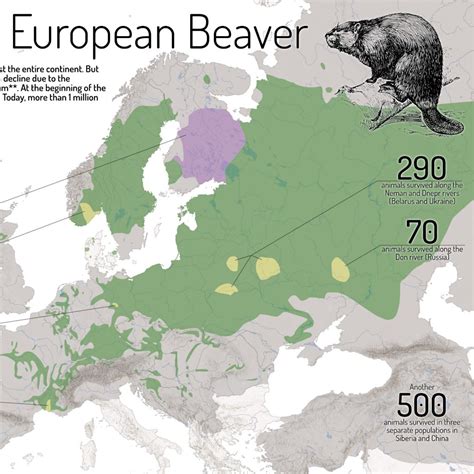 The Return of the European Beaver – Cartography M.Sc.