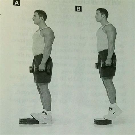 Heel Raise With Dumbbells by Don Cannon - Exercise How-to - Skimble